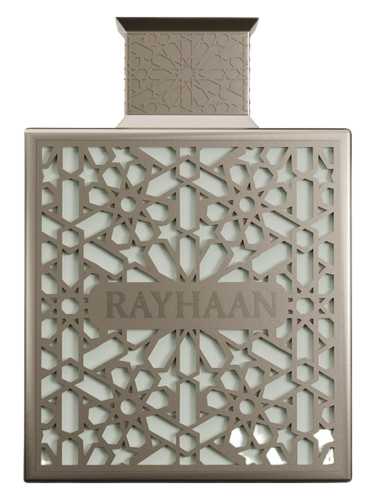 RAYHAAN TERRA FOR MAN 100ML